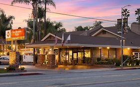 Best Western Plus Carriage Inn Reviews